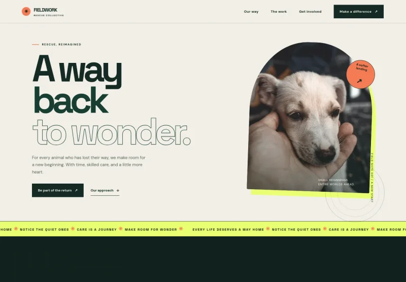 Animal Rescue Website Template