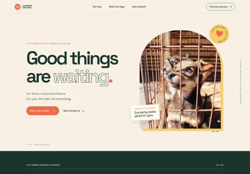 Animal Shelter Website Template