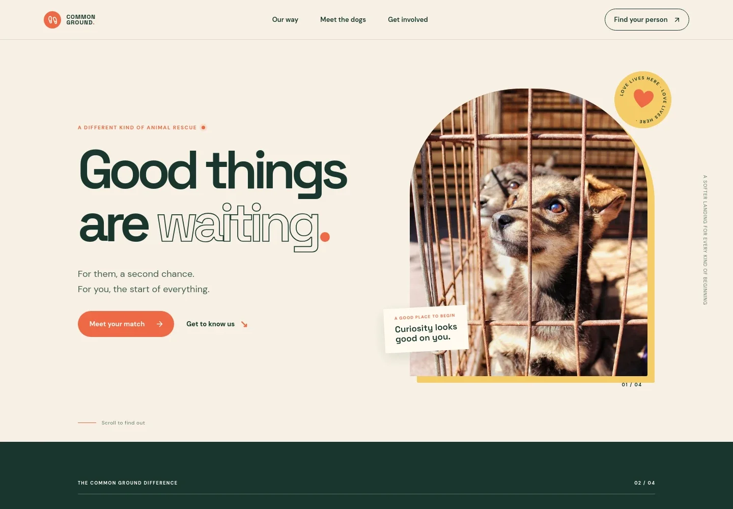 Animal Shelter Website Template
