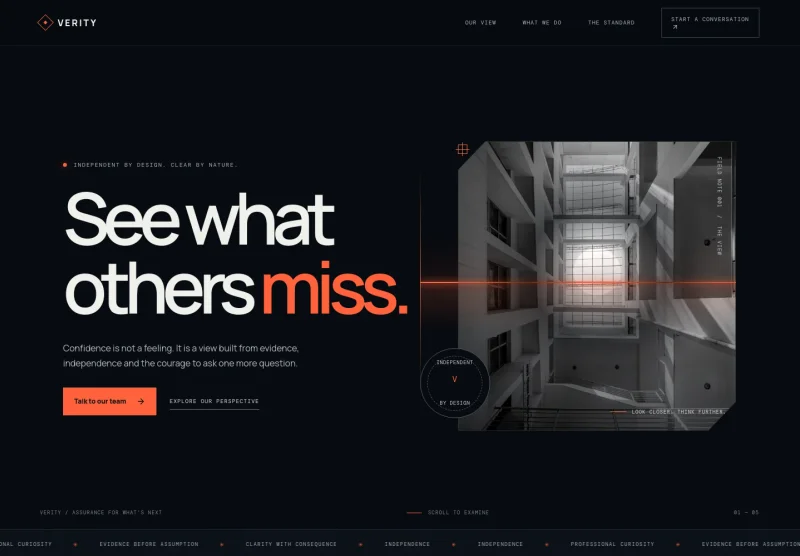 Auditing Website Template