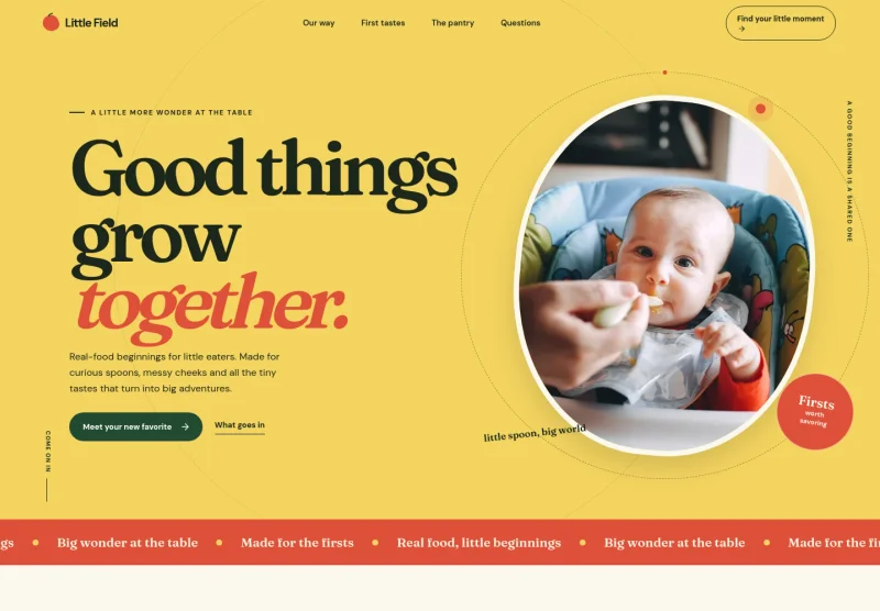 Baby Food Website Template