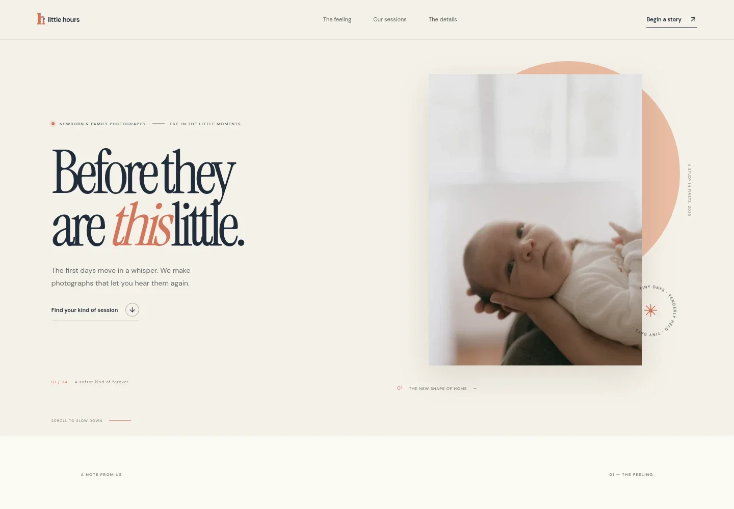 Baby Photography Website Template