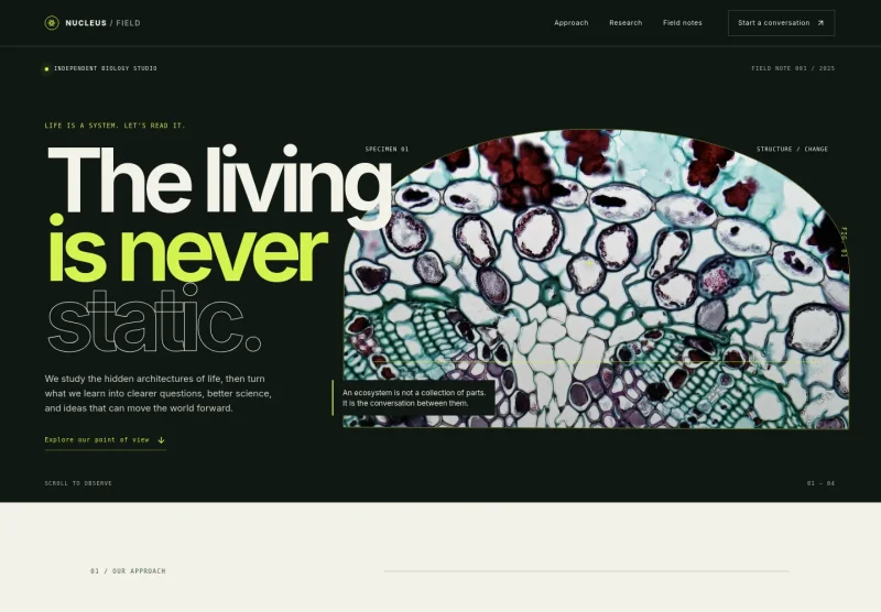 Biology Website Template