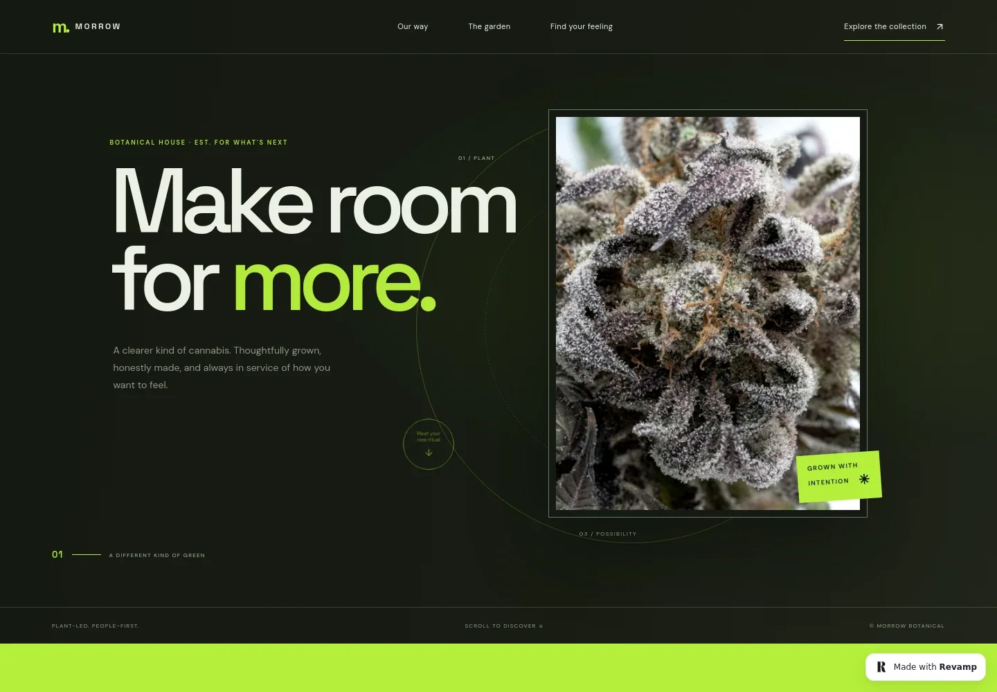 Cannabis Website Template