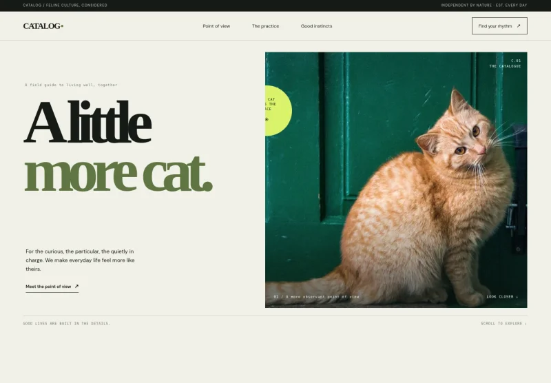 Cats Website Template