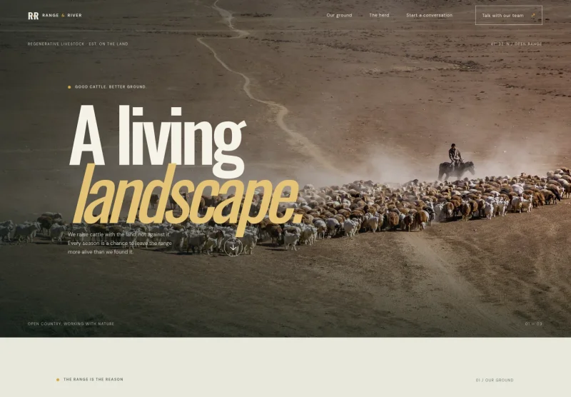 Cattle Website Template