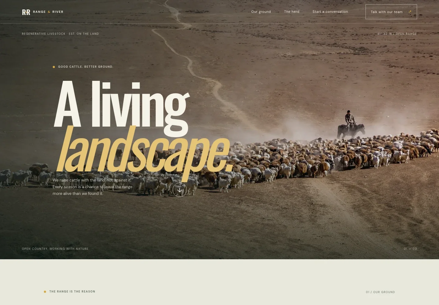 Cattle Website Template