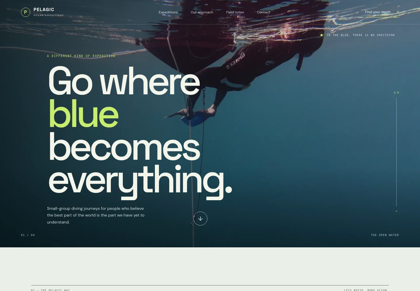 Diving Website Template
