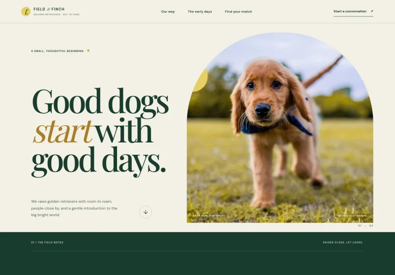 Dog Breeder Website Template