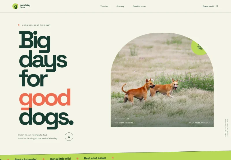 Dog Day Care Website Template