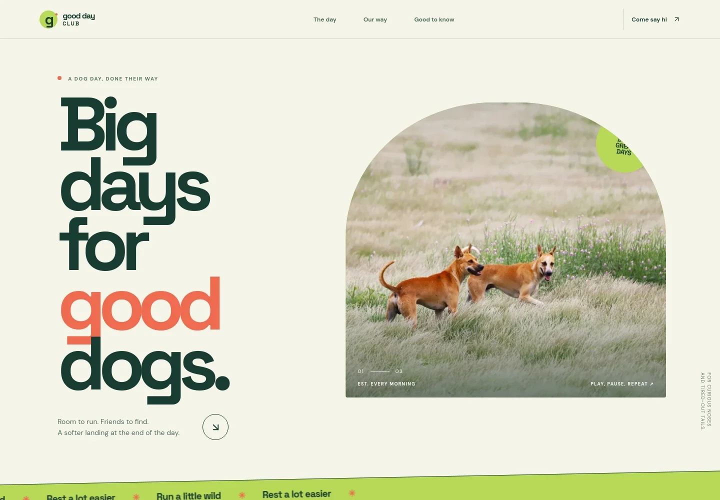 Dog Day Care Website Template