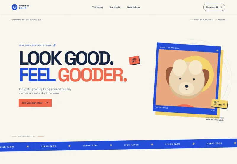 Dog Grooming Website Template