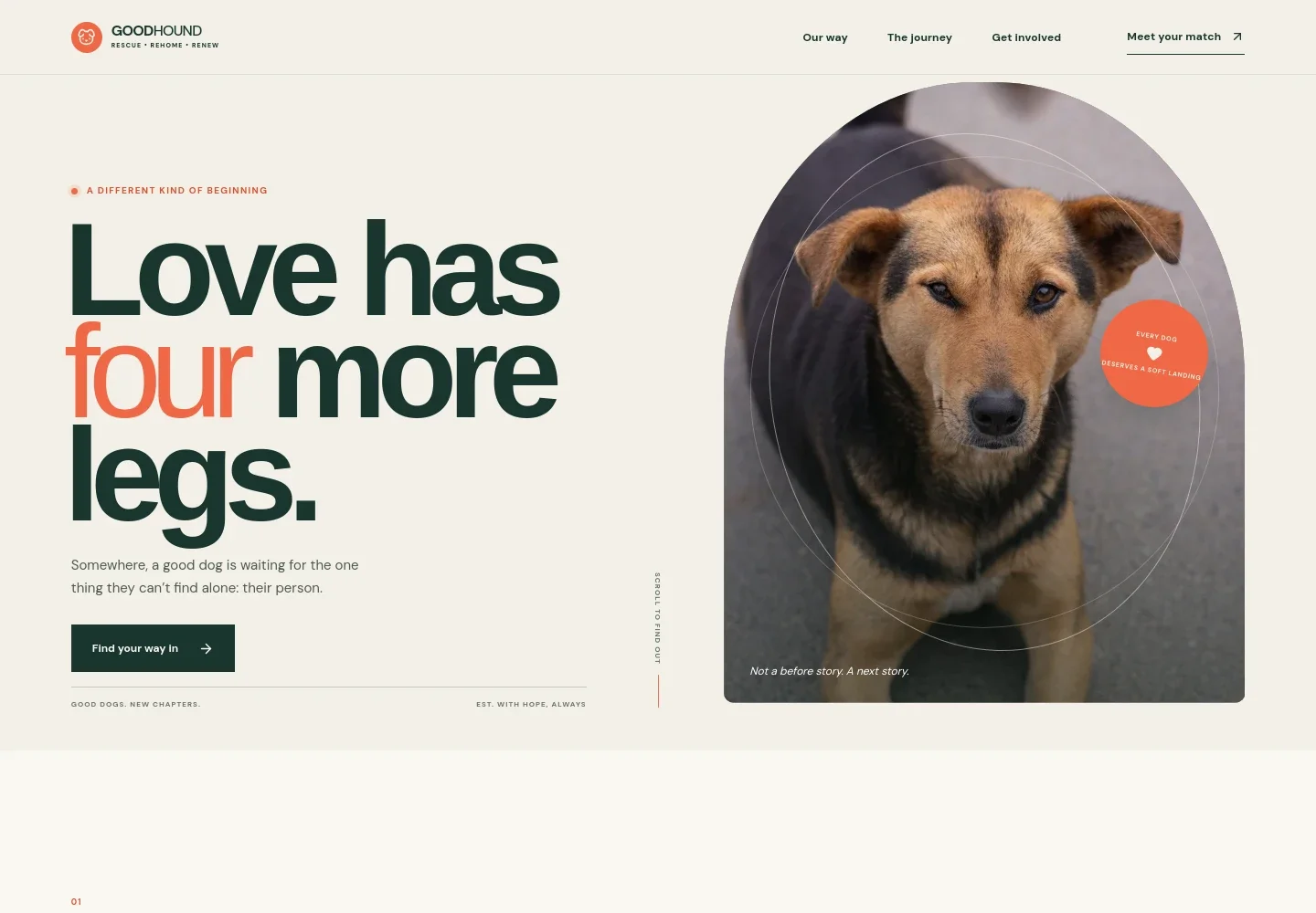 Dog Rescue Website Template