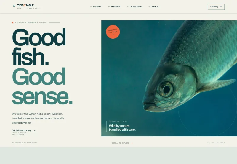 Fish Website Template