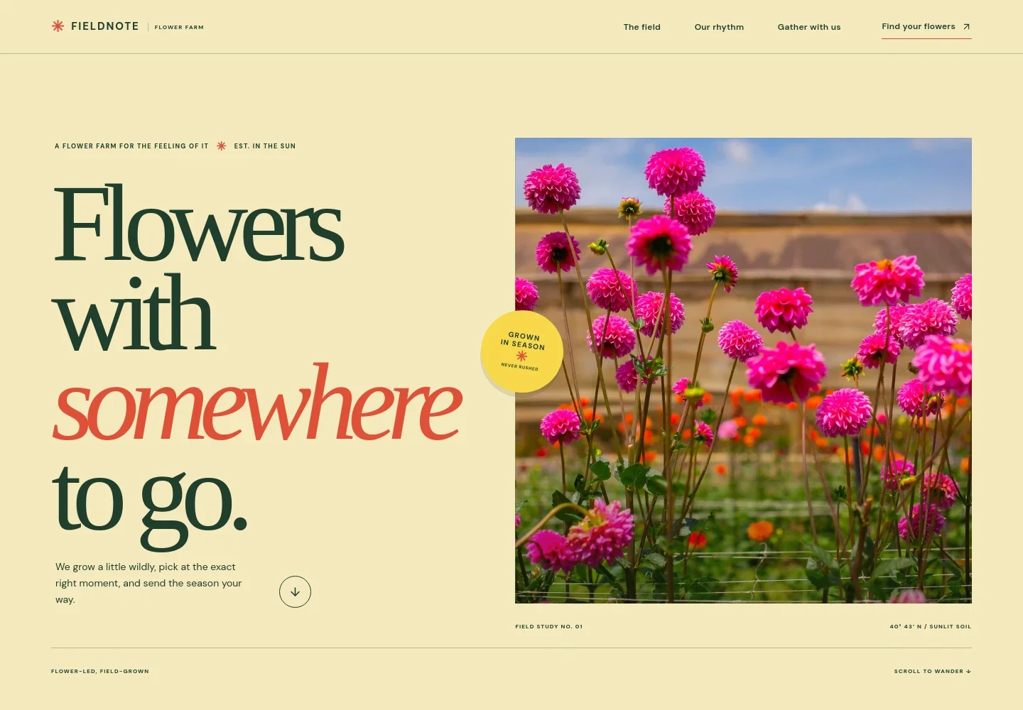 Flower Farm Website Template