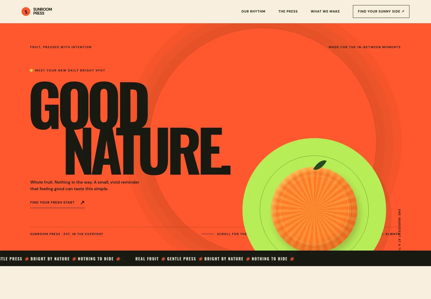 Fruit Juice Website Template