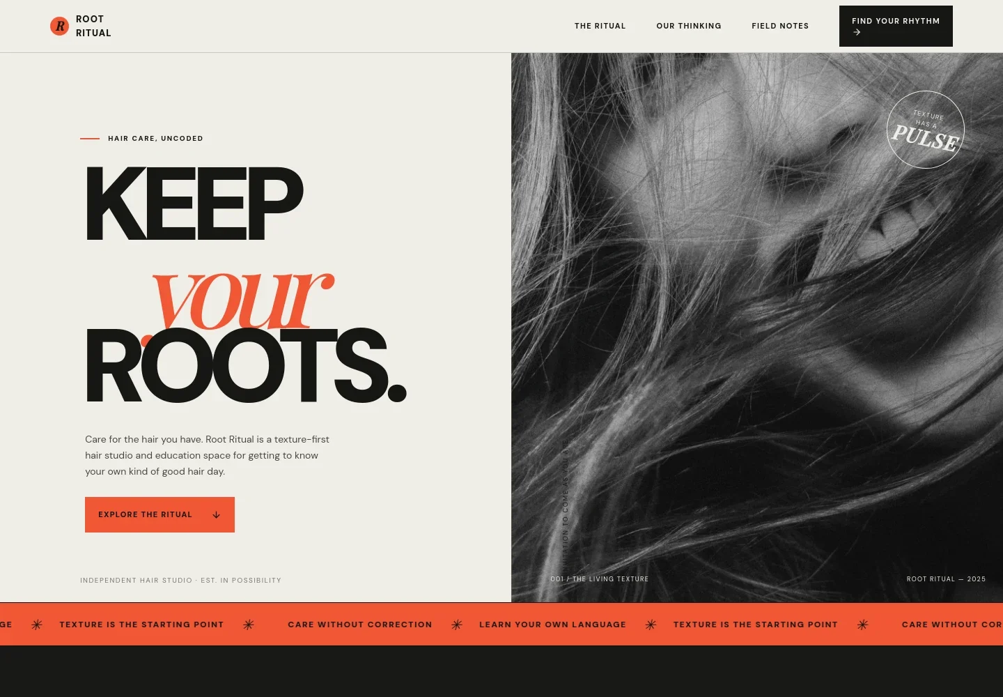 Hair Care Website Template