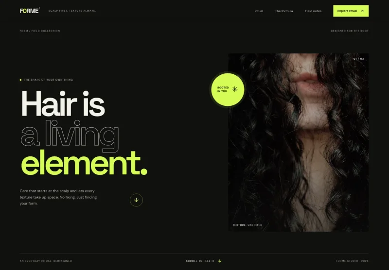Hair Product Website Template
