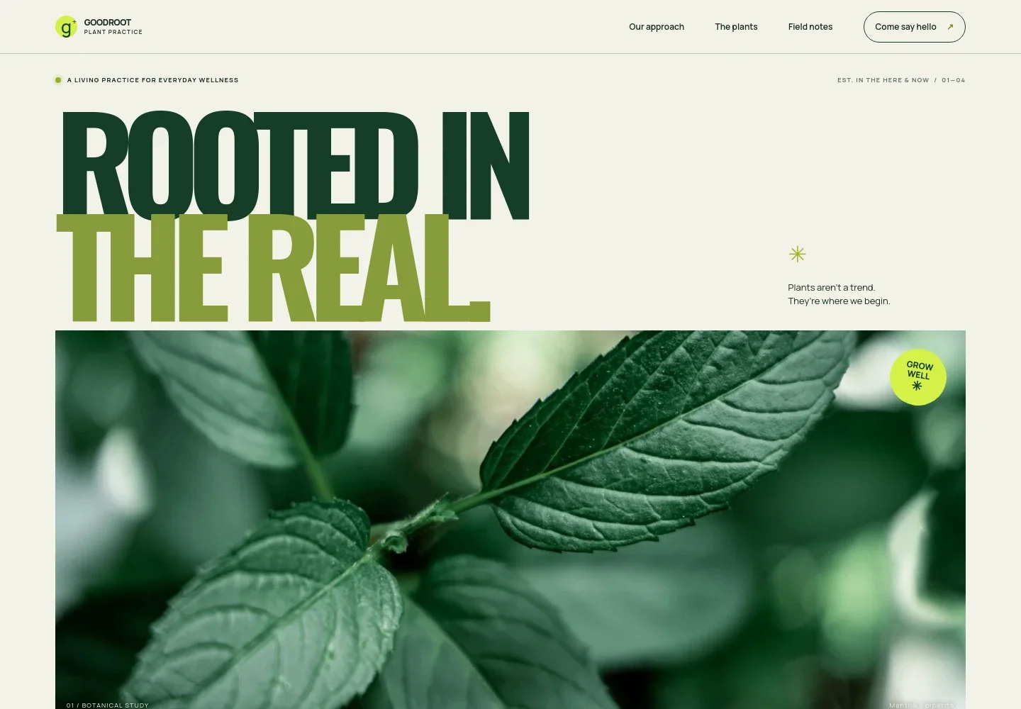 Herbal Website Template