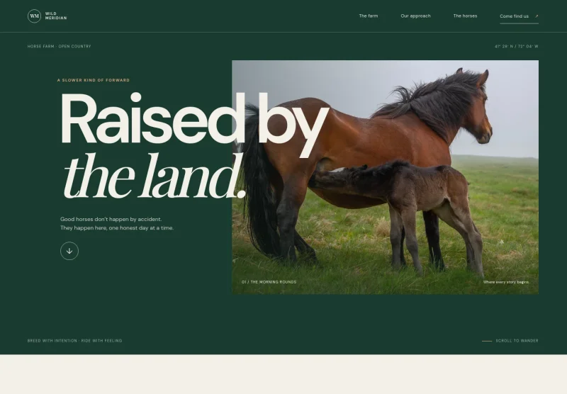 Horse Farm Website Template