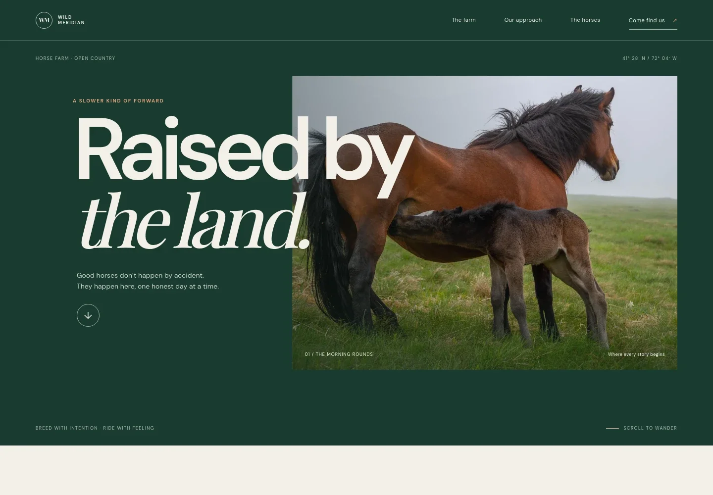 Horse Farm Website Template