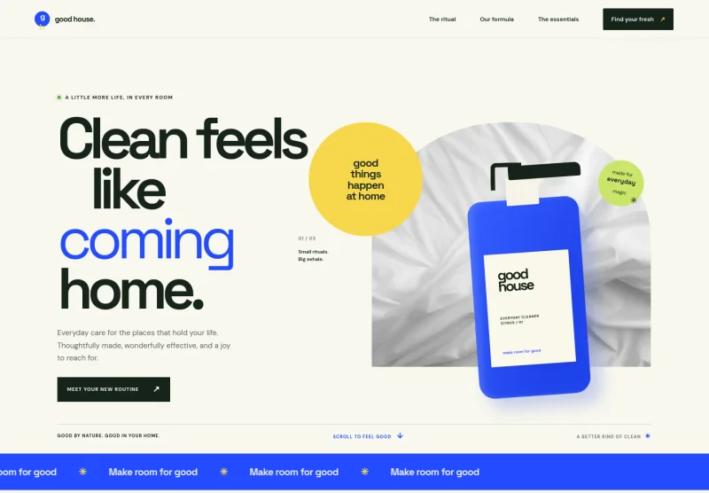 Household Product Website Template