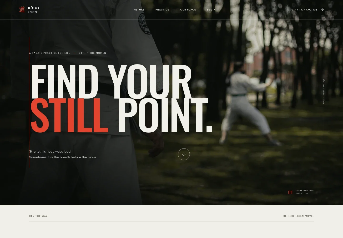 Karate Website Template