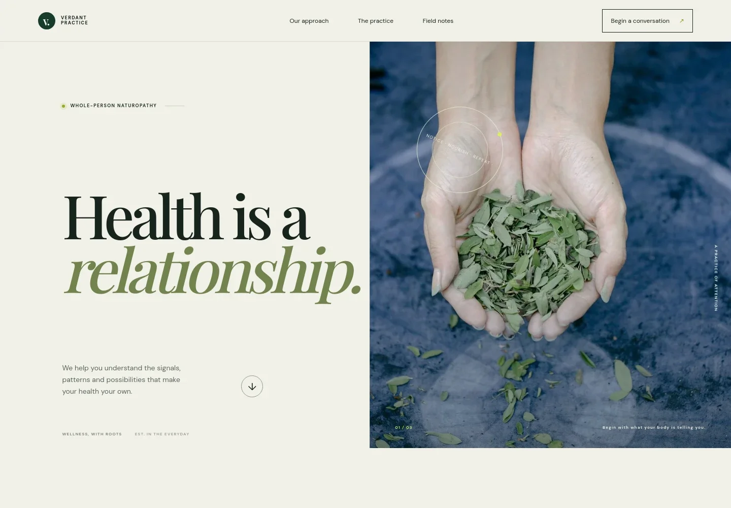 Naturopathy Website Template