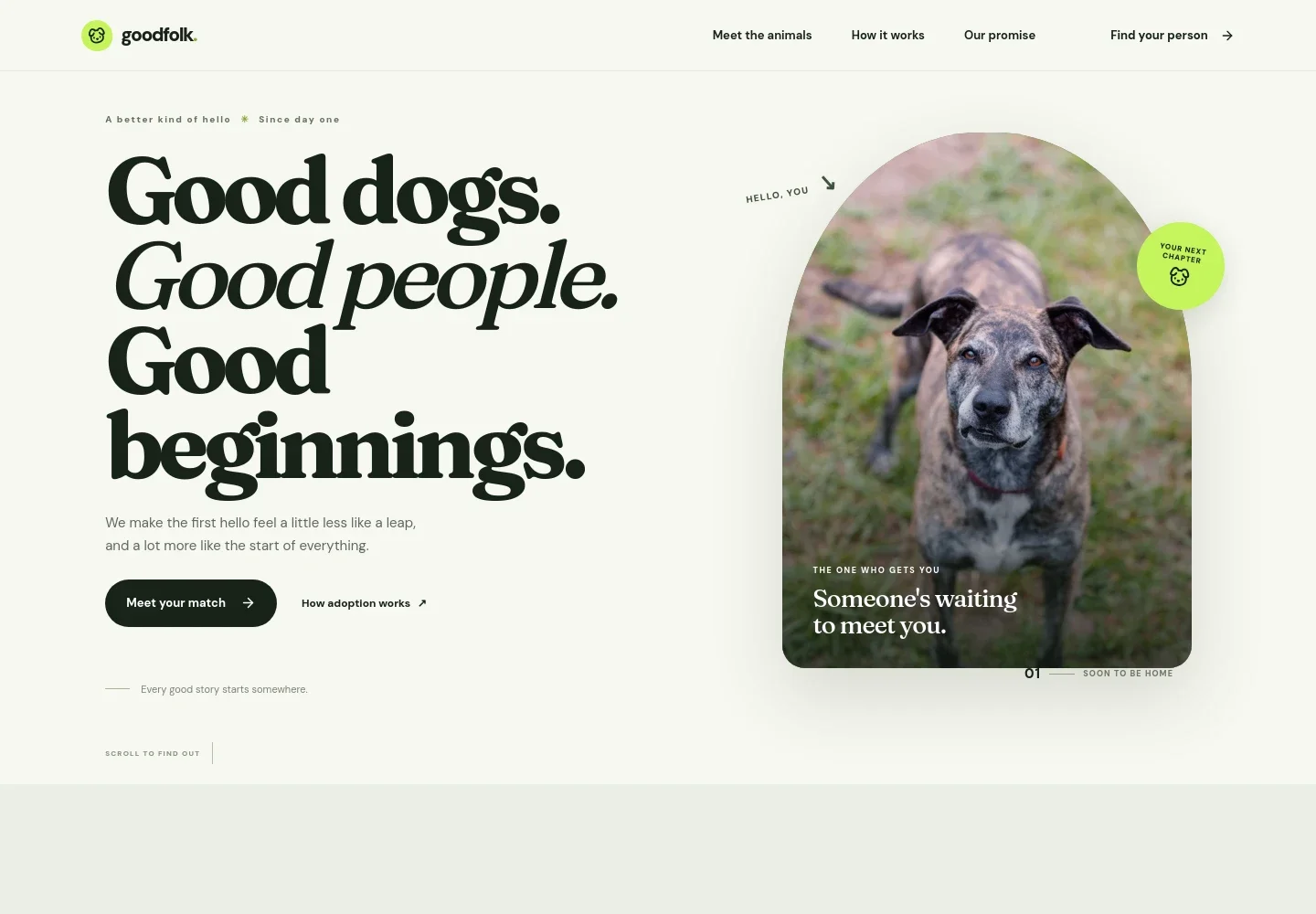 Pet Adoption Website Template
