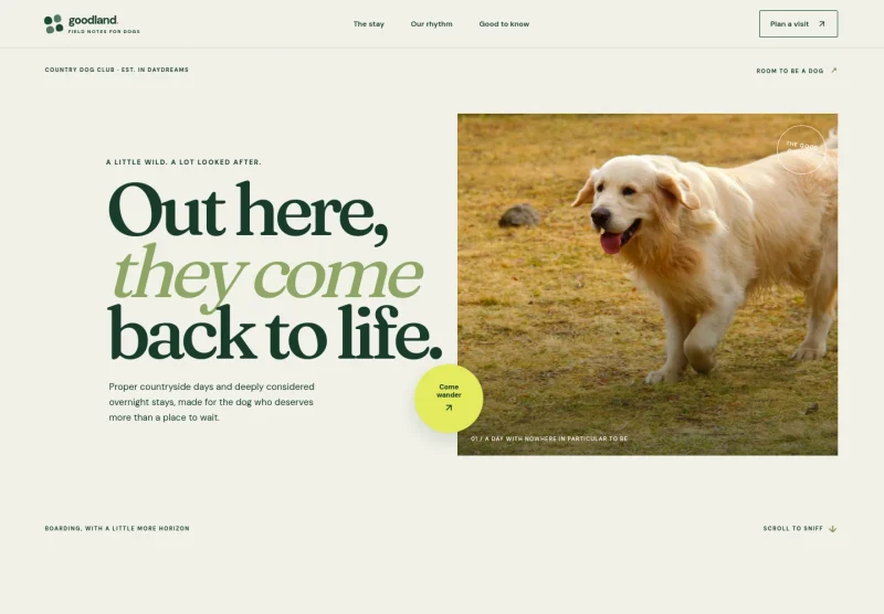 Pet Boarding Website Template