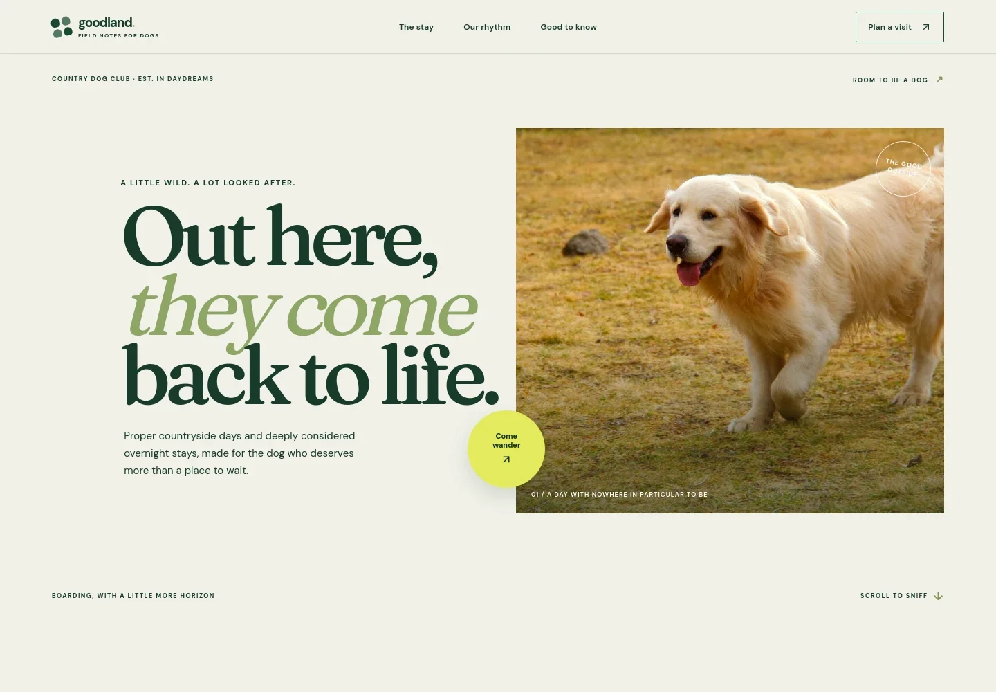 Pet Boarding Website Template