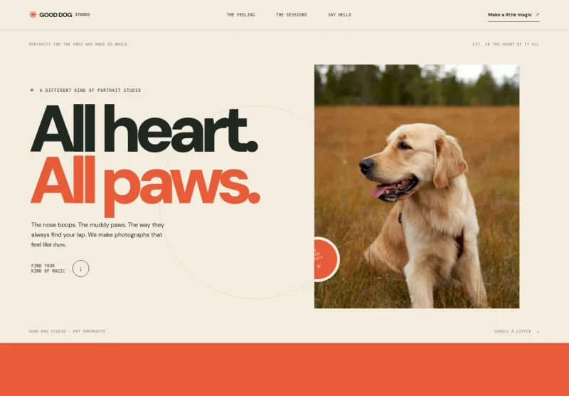 Pet Photography Website Template