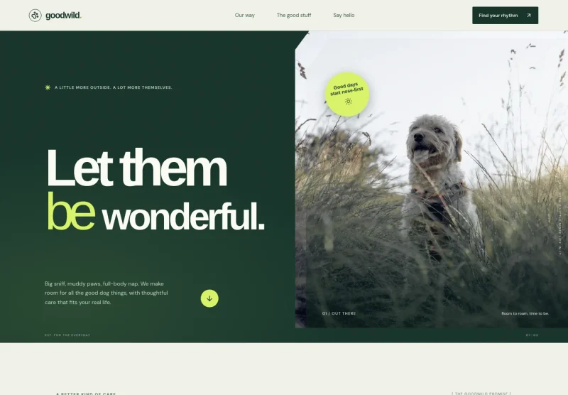Pet Services Website Template