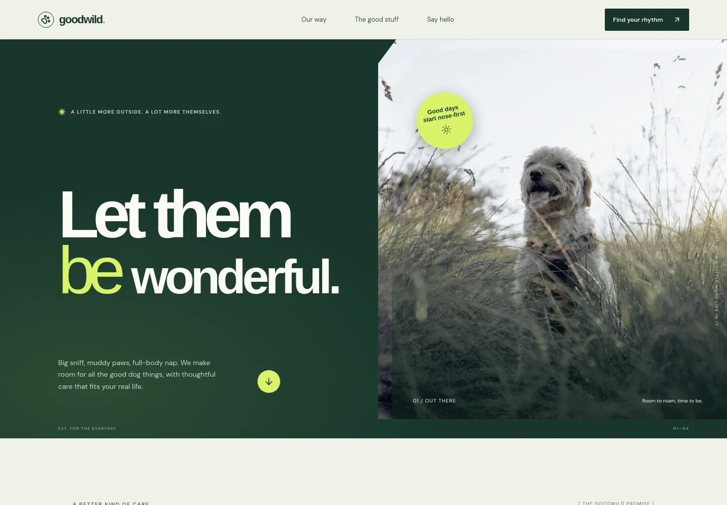 Pet Services Website Template