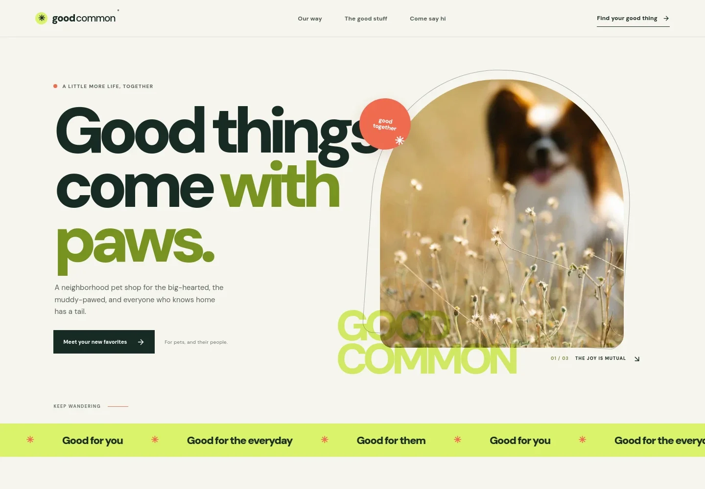 Pet Shop Website Template