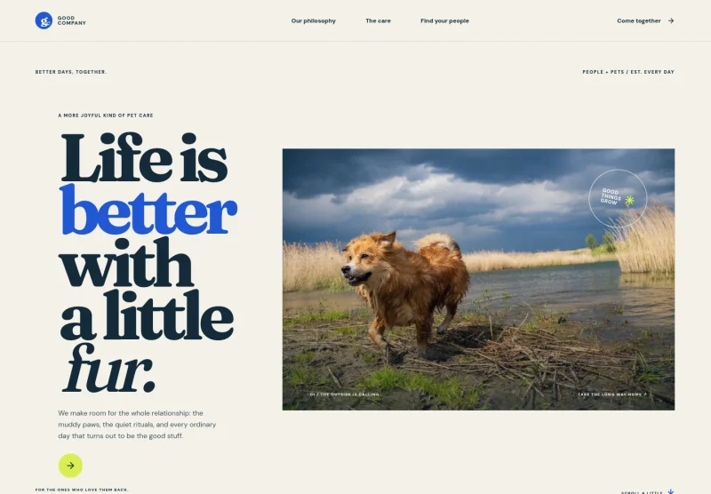 Pet Website Template