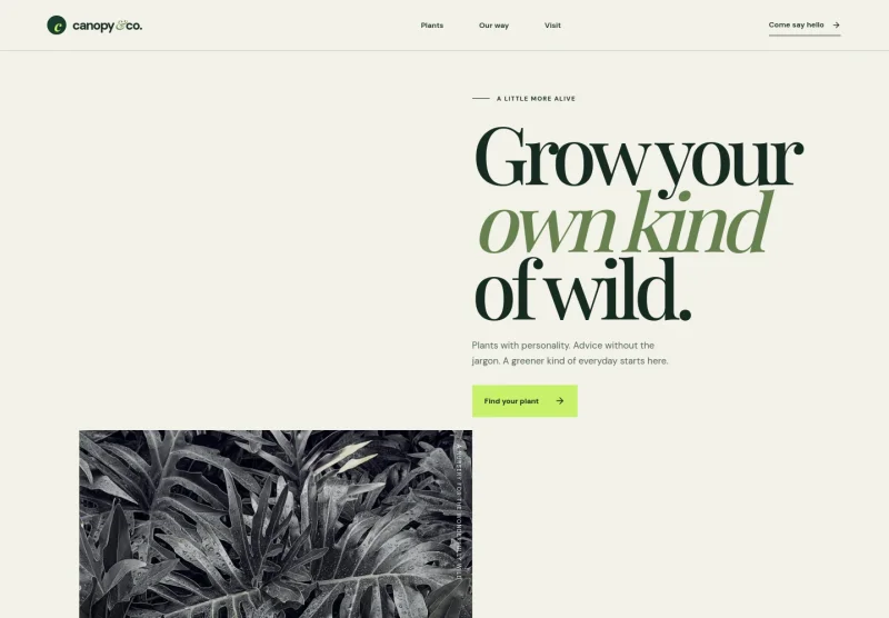 Plant Nursery Website Template