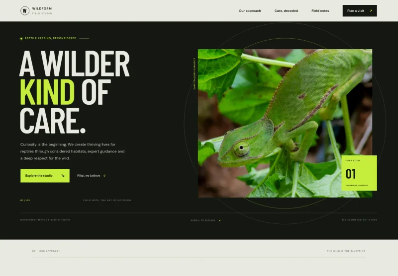 Reptile Website Template