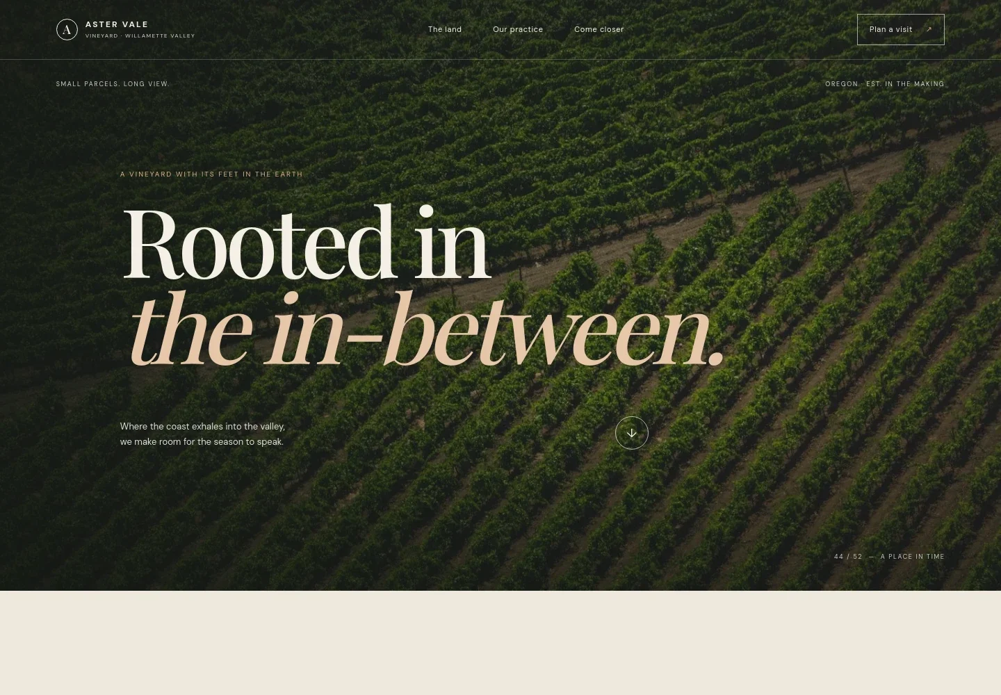 Vineyard Website Template