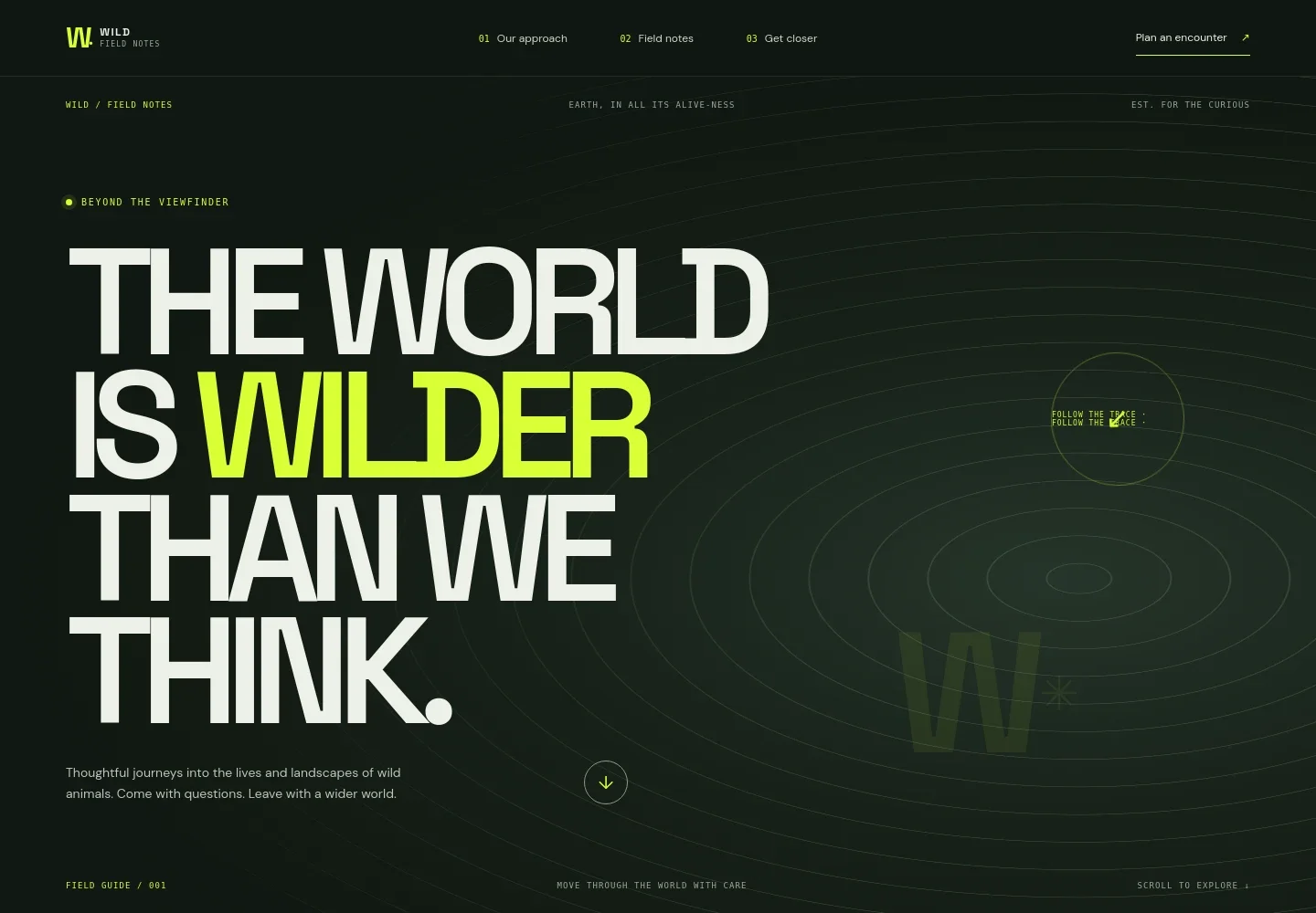Wild Animals Website Template