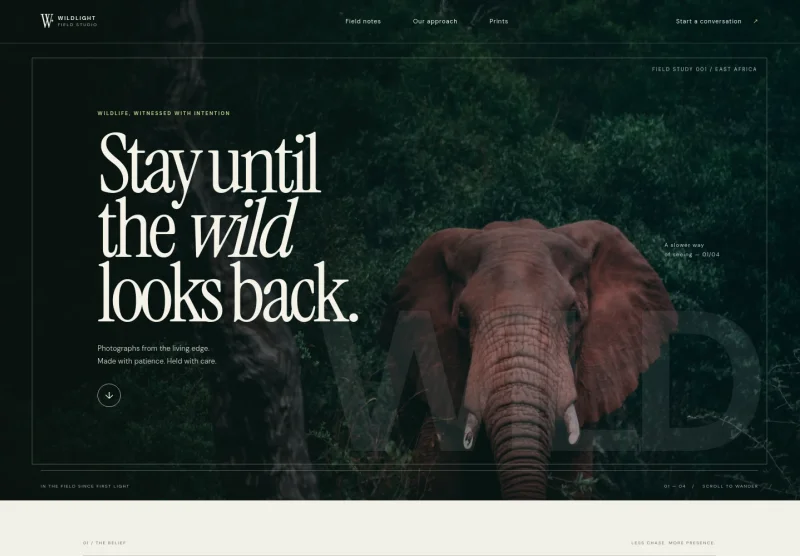 Wildlife Photography Website Template