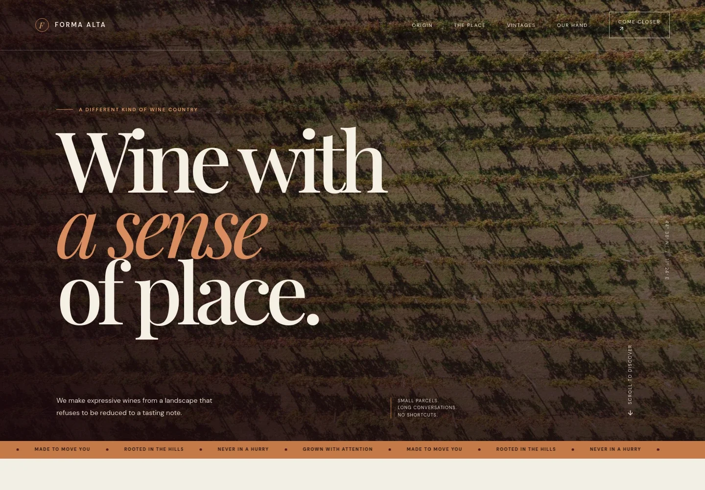 Wine Website Template