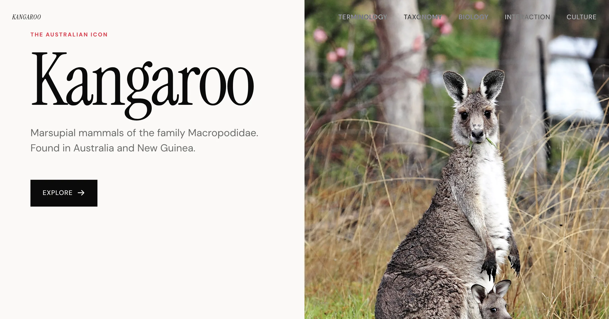 Wikipedia revamp redesign — AI-generated modern redesign by Revamp in approximately 2 minutes